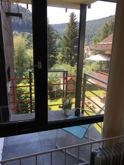 Kleines Einzimmer-Apartment 23 Bad Wildbad Exteriér fotografie